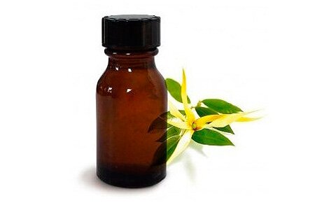 Иланг-иланг: эфирное масло для здоровья и красоты